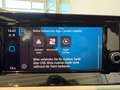 Volkswagen Golf VIII 1.0TSI LED PDC BT Keyless APP Klima Blauw - thumbnail 18