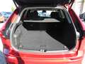 Volvo XC60 B5 AWD Benzin Plus Dark Automatik Rouge - thumbnail 5