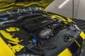 Ford Mustang 5,0 V8 GT500 optik Amarillo - thumbnail 15