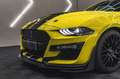 Ford Mustang 5,0 V8 GT500 optik Amarillo - thumbnail 8