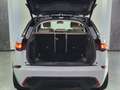 Land Rover Range Rover Velar SE*PANO-SCHIEBED*MERIDIAN SUR. Weiß - thumbnail 10