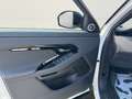 Land Rover Range Rover Evoque D165 Dynamic SE+Pano+ACC+AHK Weiß - thumbnail 16