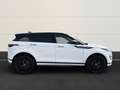 Land Rover Range Rover Evoque D165 Dynamic SE+Pano+ACC+AHK Weiß - thumbnail 5