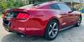 Ford Mustang Mustang  Fastback NO SUPERBOLLO Rosso - thumbnail 4