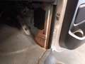 Mercedes-Benz Vito 111 CDI Functional - Extra Lang - DC Comfort - Air Wit - thumbnail 26