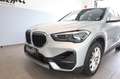BMW X1 xDrive25e Advantage Head-Up DAB LED RFK Shz Silber - thumbnail 20