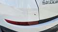Skoda Kodiaq 2.0 TDI 190 CV 4x4 DSG Style *PREZZO REALE NON VI Blanco - thumbnail 12