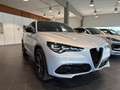 Alfa Romeo Stelvio 2.2 Turbodiesel 210 CV AT8 Q4 Veloce TETTO PANOR. Grau - thumbnail 3