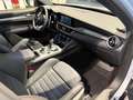 Alfa Romeo Stelvio 2.2 Turbodiesel 210 CV AT8 Q4 Veloce TETTO PANOR. Grau - thumbnail 12