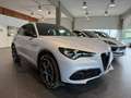 Alfa Romeo Stelvio 2.2 Turbodiesel 210 CV AT8 Q4 Veloce TETTO PANOR. Grau - thumbnail 4