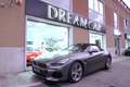 BMW Z4 sDrive30i Msport GRIGIO FROZEN OPACO Gris - thumbnail 1