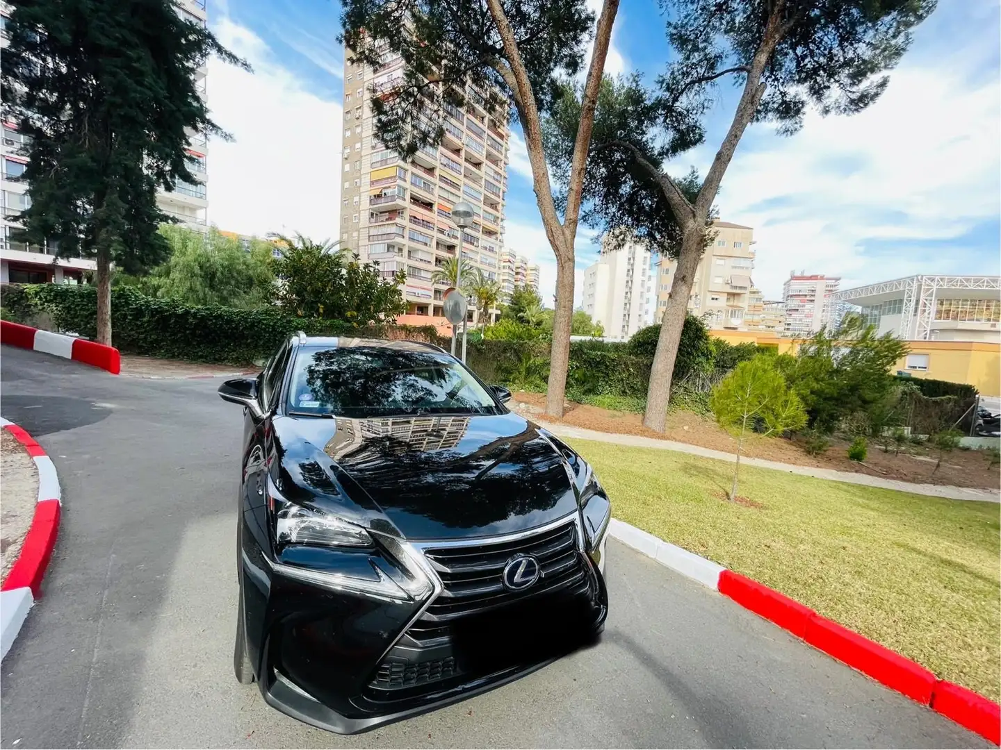 Lexus NX 300h NX 300h Executive 4WD Executive Negro - 2