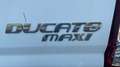 Fiat Ducato Ducato MAX 3L - thumbnail 6
