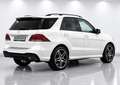 Mercedes-Benz GLE 500 4Matic AMG LINE DISIGNO EXCLUSIV (VOLL) Weiß - thumbnail 7