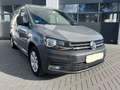 Volkswagen Caddy 2.0 TDI 102cv Maxi 7 POSTI - GANCIO - IN ARRIVO Gris - thumbnail 1
