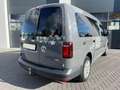 Volkswagen Caddy 2.0 TDI 102cv Maxi 7 POSTI - GANCIO - IN ARRIVO Gris - thumbnail 6