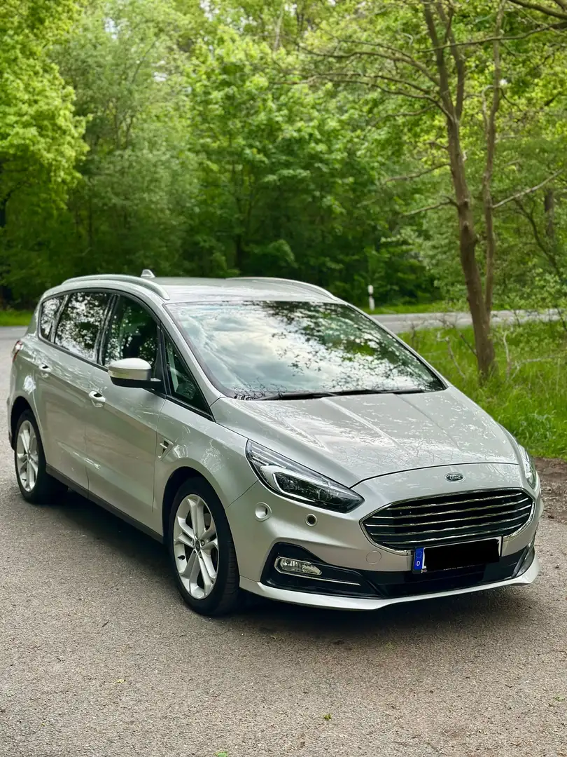 Ford S-Max 2.0 EcoBlue 190cv Argento - 1