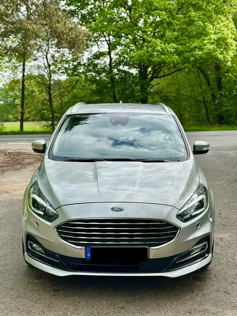 Ford S-Max 2.0 EcoBlue 190cv Argento - 2