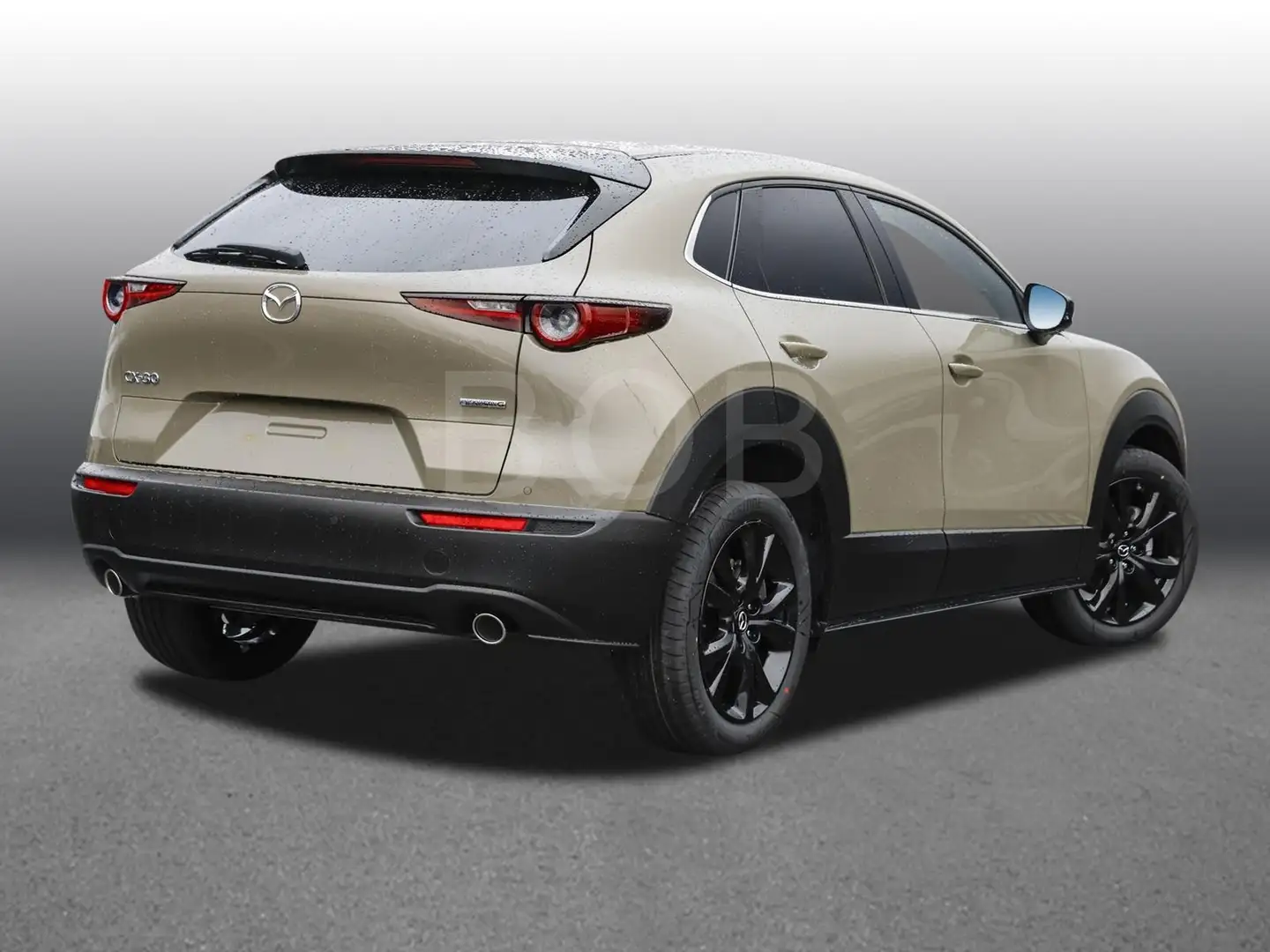 Mazda CX-30 Homura Automatik NAVI SHZ PDC KLIMA BT ZV Beige - 2