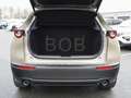 Mazda CX-30 Homura Automatik NAVI SHZ PDC KLIMA BT ZV Beige - thumbnail 11