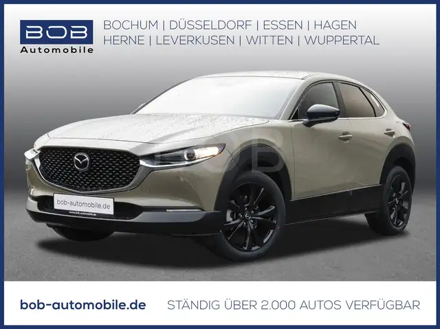 Mazda CX-30 Homura Automatik NAVI SHZ PDC KLIMA BT ZV