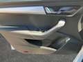 Skoda Karoq 4x4 Ambition TDI DSG SCR Weiß - thumbnail 6