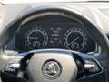 Skoda Karoq 4x4 Ambition TDI DSG SCR Weiß - thumbnail 10
