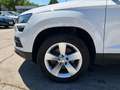 Skoda Karoq 4x4 Ambition TDI DSG SCR Weiß - thumbnail 16