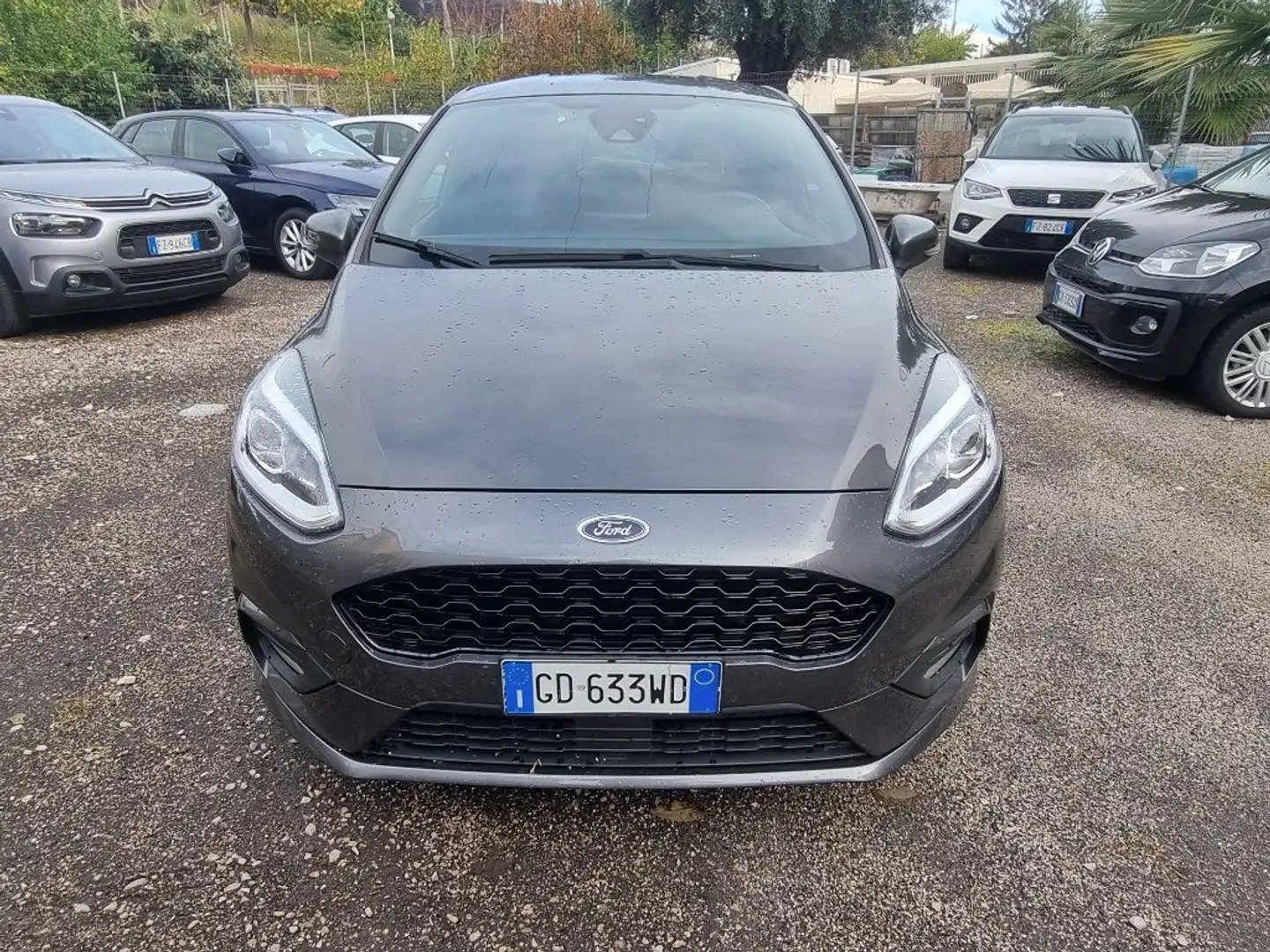 Ford Fiesta 1.0 Ecoboost Hybrid 125 CV 5 porte ST-Line Grigio - 2