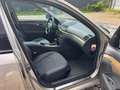Mercedes-Benz E 200 E 200 CDI (211.007) Avantgarde 1-Hand Panorama Gris - thumbnail 15