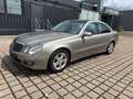 Mercedes-Benz E 200 E 200 CDI (211.007) Avantgarde 1-Hand Panorama Gris - thumbnail 4