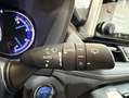Toyota RAV 4 Business Blanco - thumbnail 21