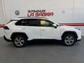 Toyota RAV 4 Business Blanco - thumbnail 4