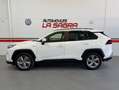 Toyota RAV 4 Business Blanco - thumbnail 5