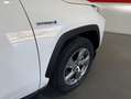 Toyota RAV 4 Business Blanco - thumbnail 30