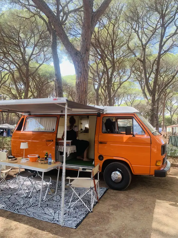 Volkswagen T3 Westfalia/personalizzato, foto 3