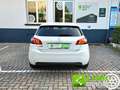 Peugeot 308 BlueHDi 130 S&S Alure Bianco - thumbnail 6