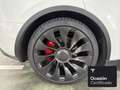Tesla Model Y Performance Blanco - thumbnail 24