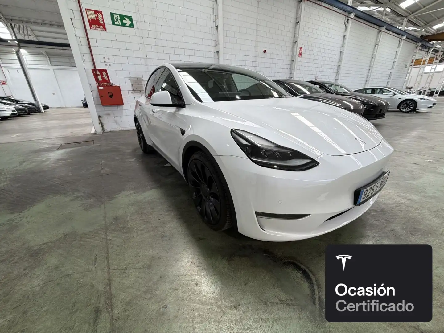 Tesla Model Y Performance Blanco - 2