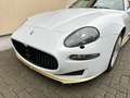 Maserati 4200 Coupe GT Cambiocorsa Weiß - thumbnail 5