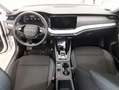 Skoda Octavia Combi*AHK*LED*SHZ*APP*PDC Weiß - thumbnail 3
