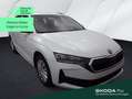Skoda Octavia Combi*AHK*LED*SHZ*APP*PDC Weiß - thumbnail 1