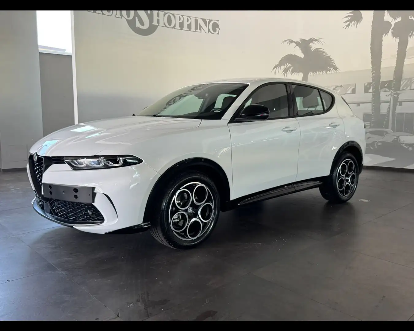 Alfa Romeo Tonale 1.6 diesel 130 CV TCT6 Sprint Bianco - 1