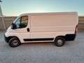 Fiat Ducato 30 2.3 MJT 130CV PC Furgone Blanc - thumbnail 6