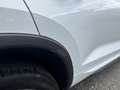 Skoda Kodiaq Sportline 2.0 TDI AHK KAMERA LED ACC SHZ Blanc - thumbnail 9
