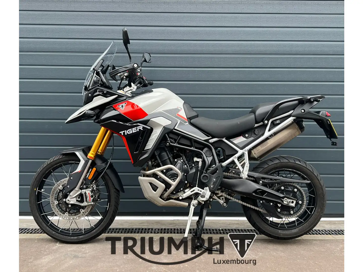 Triumph Tiger 900 TIGER 900 RALLY PRO Gris - 1