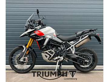 TIGER 900 RALLY PRO