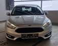 Ford Focus Traveller 1,5 TDCi Trend Grau - thumbnail 4