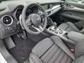 Alfa Romeo Stelvio Tributo Italiano Q4 280 PS Blanc - thumbnail 10