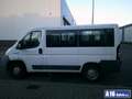 Peugeot Boxer 9 persoons 2.2 hdi diesel White - thumbnail 5